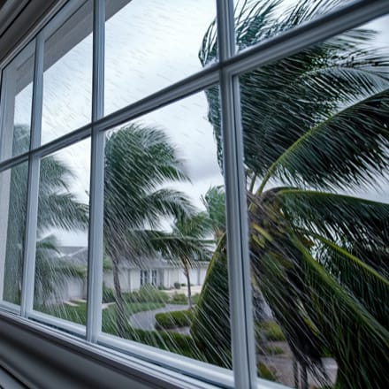 View of hurricane winds through a window.