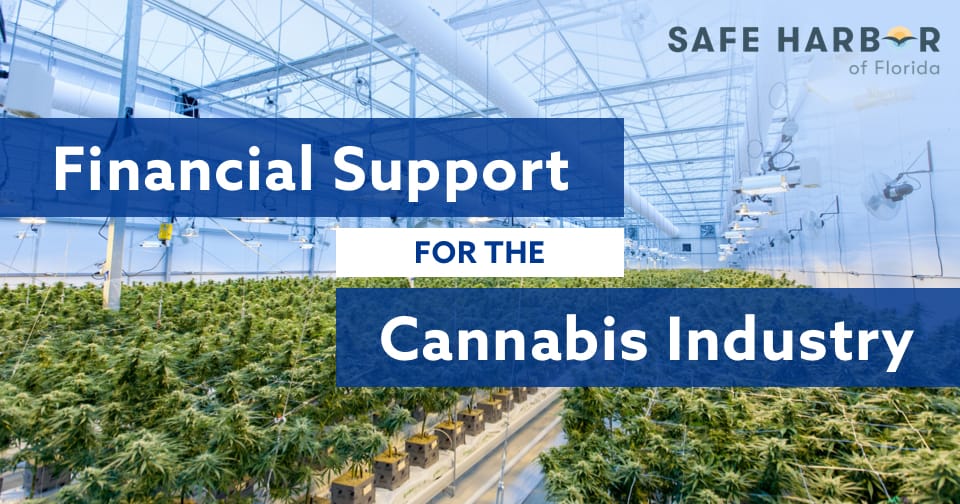 A picture of an indoor cannabis farm. Across the middle, the words: Financial relief for the cannabis industry.
