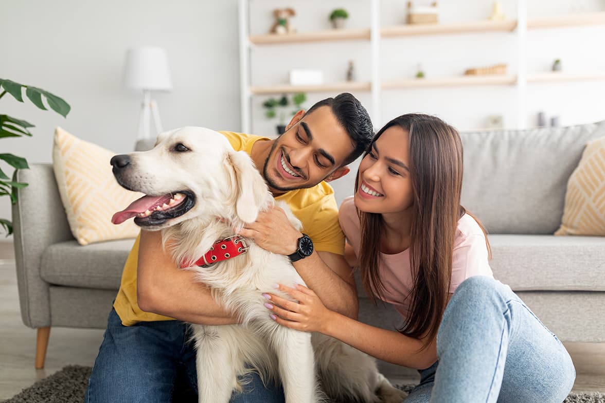 A young couple embracing a dog in their living room.