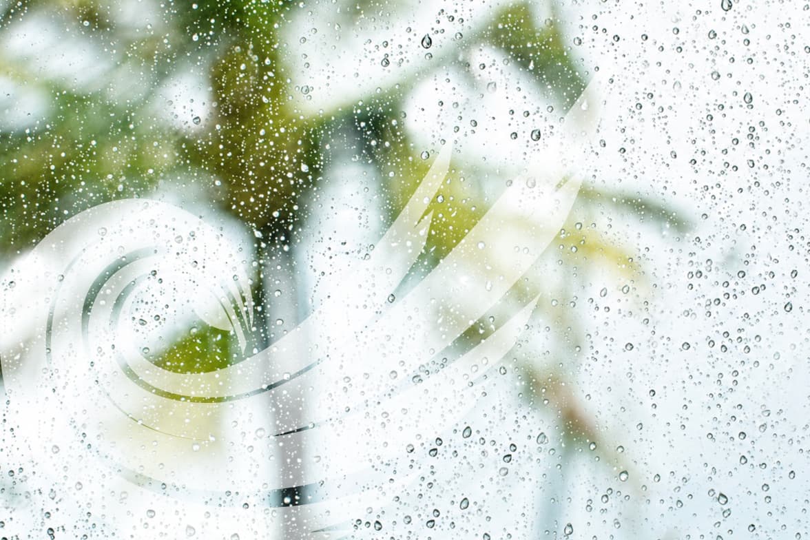 Window view of hurriance winds and rain.